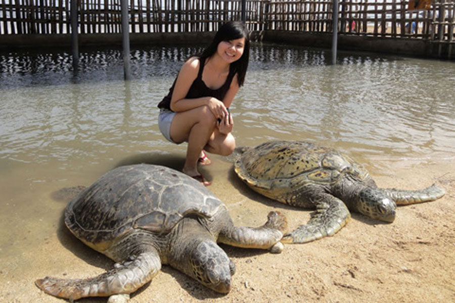 Turtle-Island