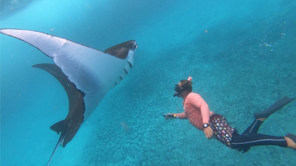 manta-bay